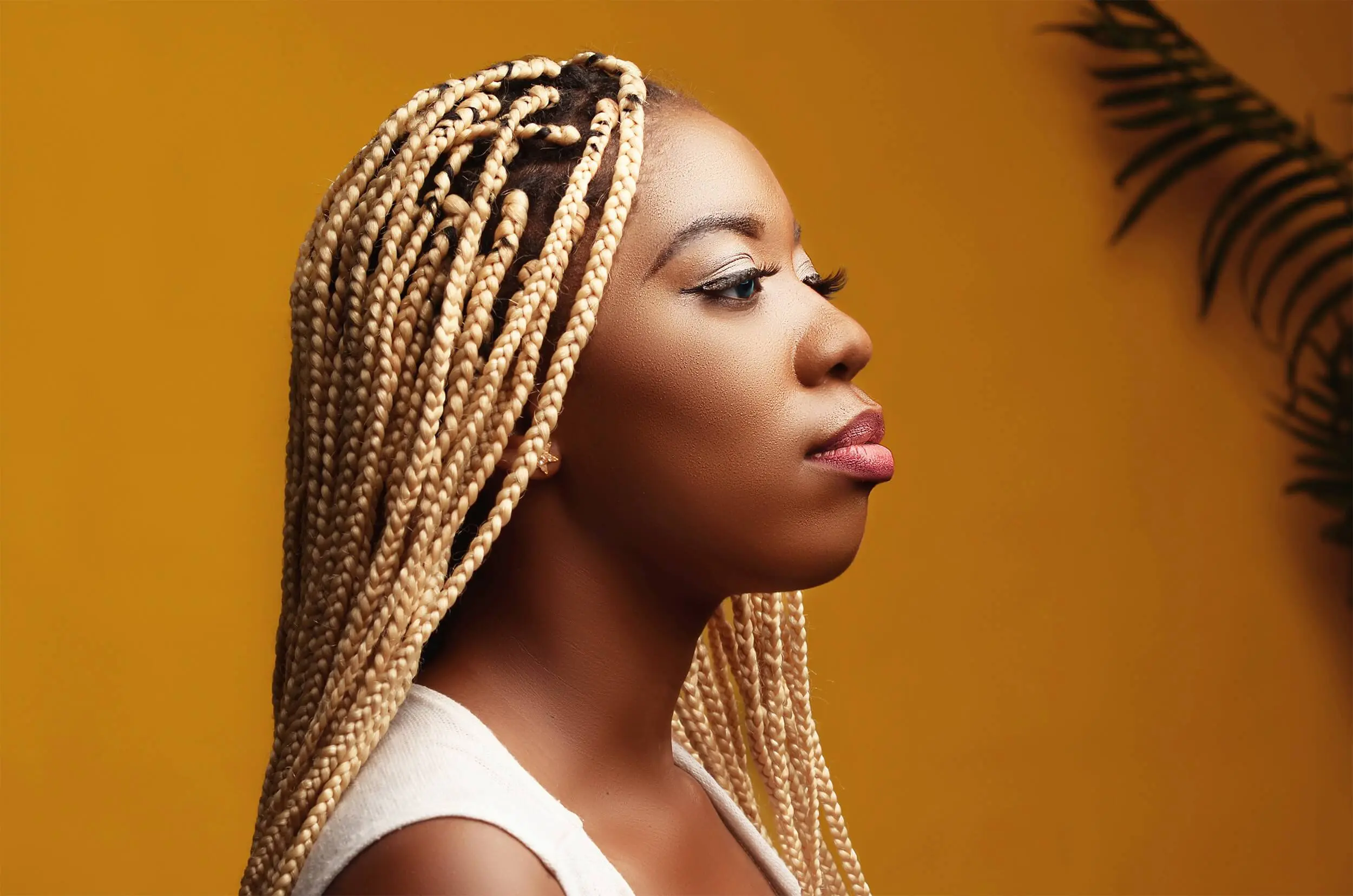 Une femme coiffée avec des classics  Box Braids